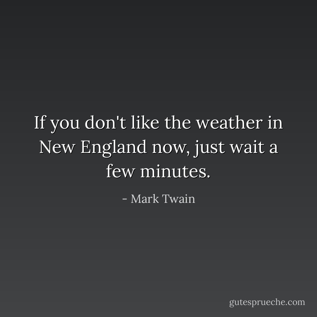 If you don't like the weather in New England now, just wait a few minutes. - Mark Twain