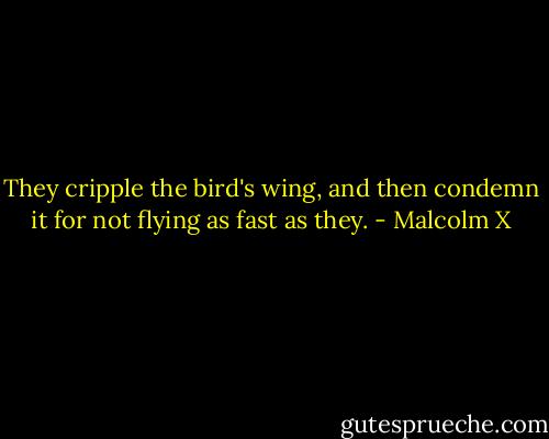 They cripple the bird's wing, and then condemn it for not flying as fast as they. - Malcolm X