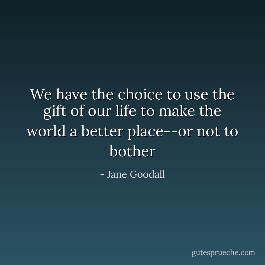 We have the choice to use the gift of our life to make the world a better place--or not to bother - Jane Goodall