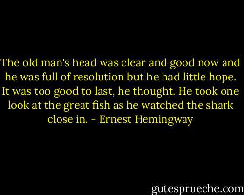 The old man's head was clear and good now and he was full of resolution but he had little hope. It was too good to last, he thought. He took one look at the great fish as he watched the shark close in. - Ernest Hemingway