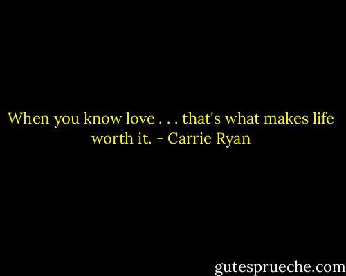 When you know love . . . that's what makes life worth it. - Carrie Ryan