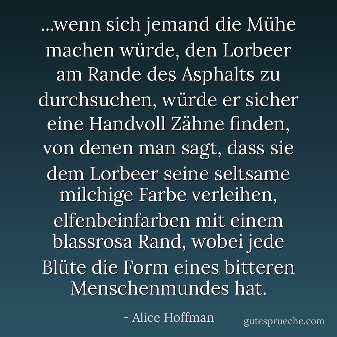 ...wenn sich jemand die Mühe machen würde, den Lorbeer am Rande des Asphalts zu durchsuchen, würde er sicher eine Handvoll Zähne finden, von denen man sagt, dass sie dem Lorbeer seine seltsame milchige Farbe verleihen, elfenbeinfarben mit einem blassrosa Rand, wobei jede Blüte die Form eines bitteren Menschenmundes hat. - Alice Hoffman<