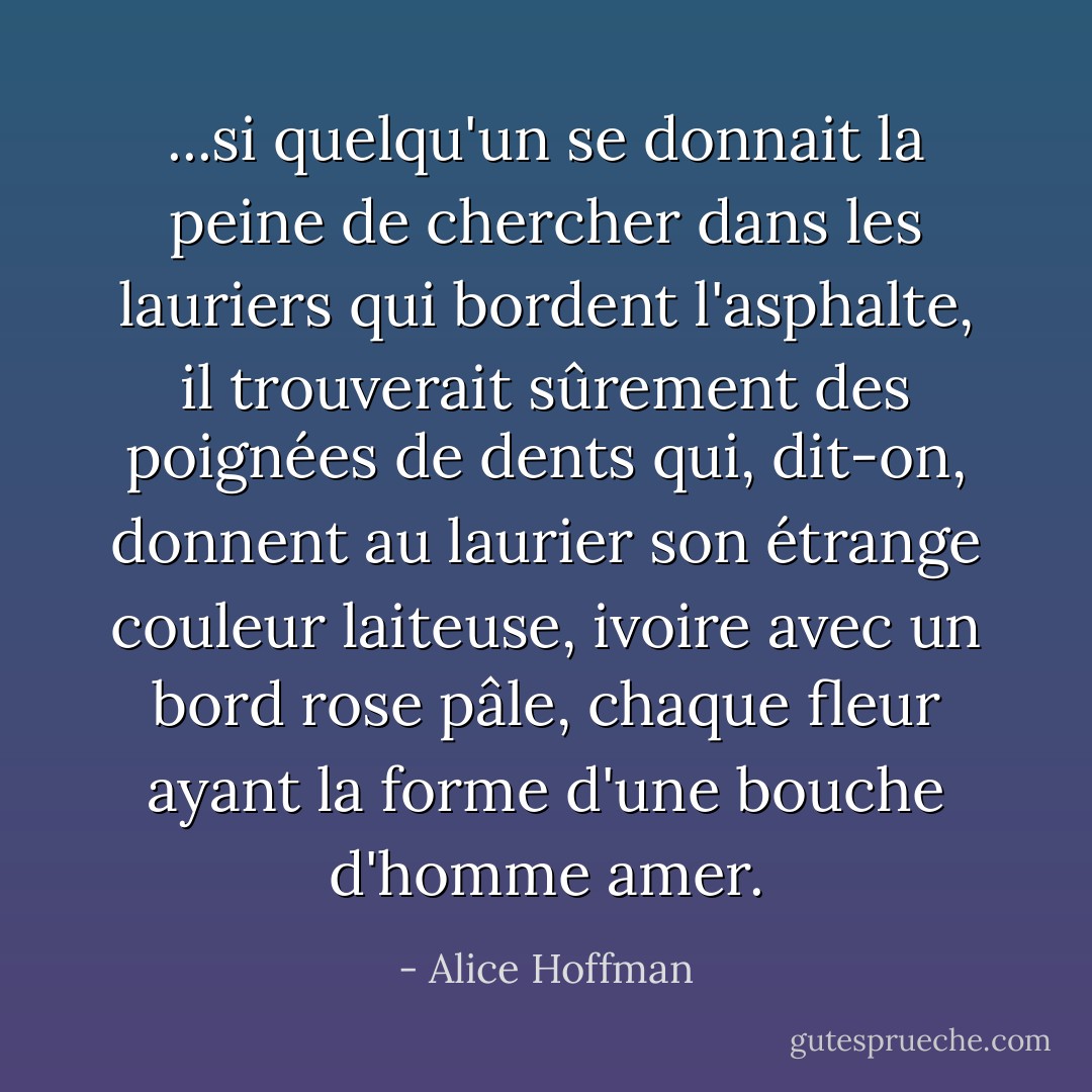 ...si quelqu'un se donnait la peine de chercher dans les lauriers qui bordent l'asphalte, il trouverait sûrement des poignées de dents qui, dit-on, donnent au laurier son étrange couleur laiteuse, ivoire avec un bord rose pâle, chaque fleur ayant la forme d'une bouche d'homme amer. - Alice Hoffman