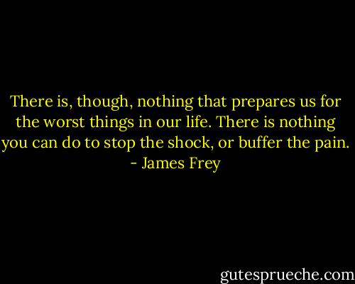 There is, though, nothing that prepares us for the worst things in our life. There is nothing you can do to stop the shock, or buffer the pain. - James Frey