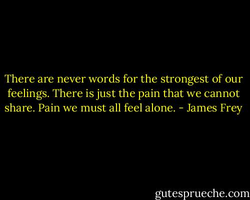 There are never words for the strongest of our feelings. There is just the pain that we cannot share. Pain we must all feel alone. - James Frey