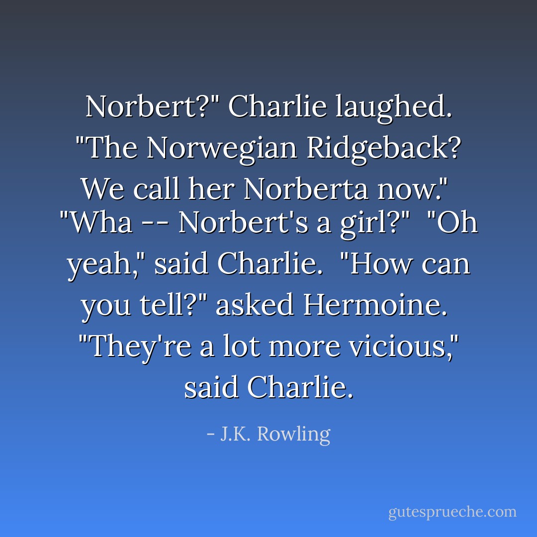 Norbert?" Charlie laughed. "The Norwegian Ridgeback? We call her Norberta now." <br />"Wha -- Norbert's a girl?"<br /> "Oh yeah," said Charlie.<br /> "How can you tell?" asked Hermoine. <br />"They're a lot more vicious," said Charlie. - J.K. Rowling