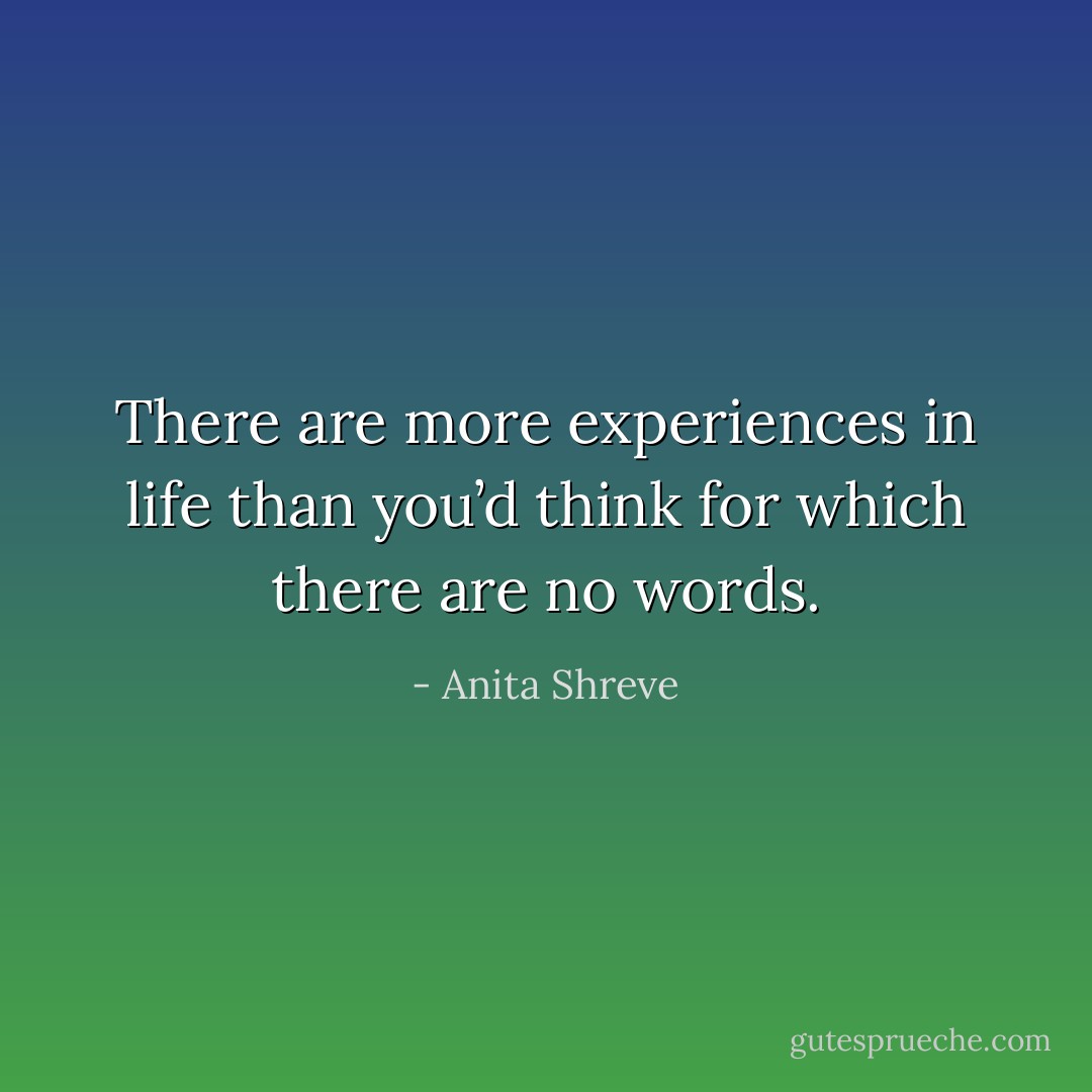There are more experiences in life than you’d think for which there are no words. - Anita Shreve