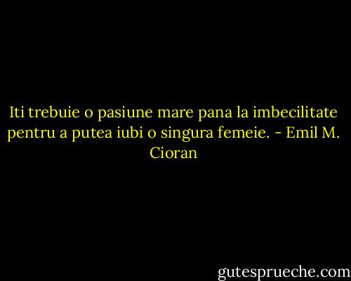 Iti trebuie o pasiune mare pana la imbecilitate pentru a putea iubi o singura femeie. - Emil M. Cioran