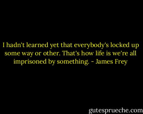 I hadn't learned yet that everybody's locked up some way or other. That's how life is we're all imprisoned by something. - James Frey