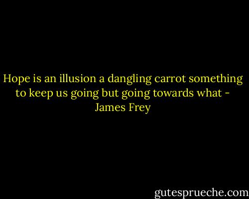 Hope is an illusion a dangling carrot something to keep us going but going towards what - James Frey