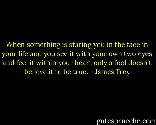When something is staring you in the face in your life and you see it with your own two eyes and feel it within your heart only a fool doesn't believe it to be true. - James Frey