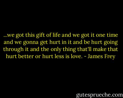...we got this gift of life and we got it one time and we gonna get hurt in it and be hurt going through it and the only thing that'll make that hurt better or hurt less is love. - James Frey