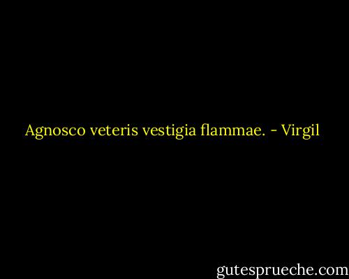 Agnosco veteris vestigia flammae. - Virgil