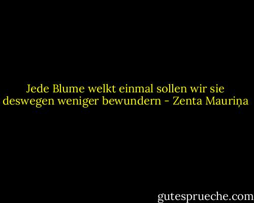 Jede Blume welkt einmal sollen wir sie deswegen weniger bewundern - Zenta Mauriņa