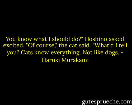 You know what I should do?" Hoshino asked excited. "Of course," the cat said. "What'd I tell you? Cats know everything. Not like dogs. - Haruki Murakami