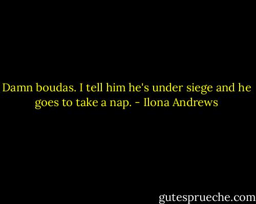 Damn boudas. I tell him he's under siege and he goes to take a nap. - Ilona Andrews