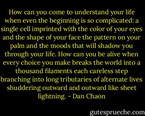 How can you come to understand your life when even the beginning is so complicated: a single cell imprinted with the color of your eyes and the shape of your face the pattern on your palm and the moods that will shadow you through your life. How can you be alive when every choice you make breaks the world into a thousand filaments each careless step branching into long tributaries of alternate lives shuddering outward and outward like sheet lightning. - Dan Chaon
