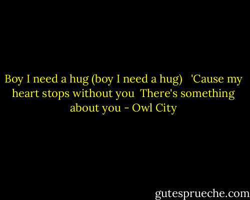 Boy I need a hug (boy I need a hug) <br /> 'Cause my heart stops without you<br /> There's something about you - Owl City