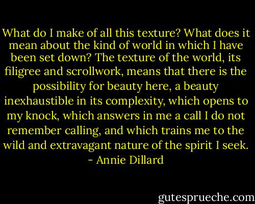 What do I make of all this texture? What does it mean about the kind of world in which I have been set down? The texture of the world, its filigree and scrollwork, means that there is the possibility for beauty here, a beauty inexhaustible in its complexity, which opens to my knock, which answers in me a call I do not remember calling, and which trains me to the wild and extravagant nature of the spirit I seek. - Annie Dillard
