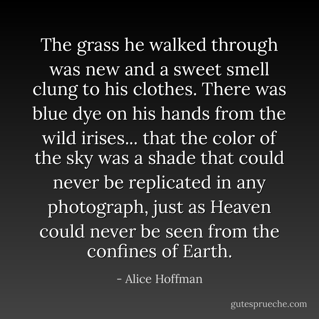 The grass he walked through was new and a sweet smell clung to his clothes. There was blue dye on his hands from the wild irises... that the color of the sky was a shade that could never be replicated in any photograph, just as Heaven could never be seen from the confines of Earth. - Alice Hoffman