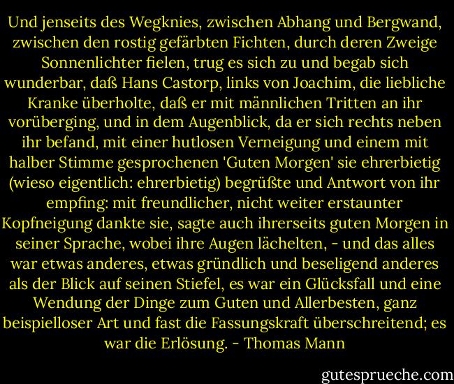 Und jenseits des Wegknies, zwischen Abhang und Bergwand, zwischen den rostig gefärbten Fichten, durch deren Zweige Sonnenlichter fielen, trug es sich zu und begab sich wunderbar, daß Hans Castorp, links von Joachim, die liebliche Kranke überholte, daß er mit männlichen Tritten an ihr vorüberging, und in dem Augenblick, da er sich rechts neben ihr befand, mit einer hutlosen Verneigung und einem mit halber Stimme gesprochenen 'Guten Morgen' sie ehrerbietig (wieso eigentlich: ehrerbietig) begrüßte und Antwort von ihr empfing: mit freundlicher, nicht weiter erstaunter Kopfneigung dankte sie, sagte auch ihrerseits guten Morgen in seiner Sprache, wobei ihre Augen lächelten, - und das alles war etwas anderes, etwas gründlich und beseligend anderes als der Blick auf seinen Stiefel, es war ein Glücksfall und eine Wendung der Dinge zum Guten und Allerbesten, ganz beispielloser Art und fast die Fassungskraft überschreitend; es war die Erlösung. - Thomas Mann