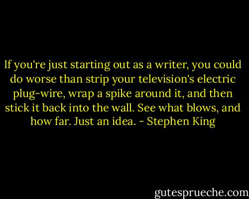 If you're just starting out as a writer, you could do worse than strip your television's electric plug-wire, wrap a spike around it, and then stick it back into the wall. See what blows, and how far. Just an idea. - Stephen King