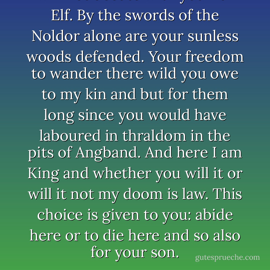 I will not debate with you Dark Elf. By the swords of the Noldor alone are your sunless woods defended. Your freedom to wander there wild you owe to my kin and but for them long since you would have laboured in thraldom in the pits of Angband. And here I am King and whether you will it or will it not my doom is law. This choice is given to you: abide here or to die here and so also for your son. - J.R.R. Tolkien