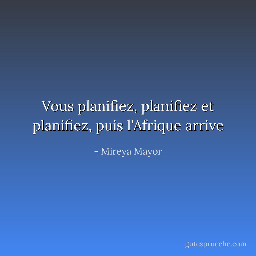 Vous planifiez, planifiez et planifiez, puis l'Afrique arrive - Mireya Mayor