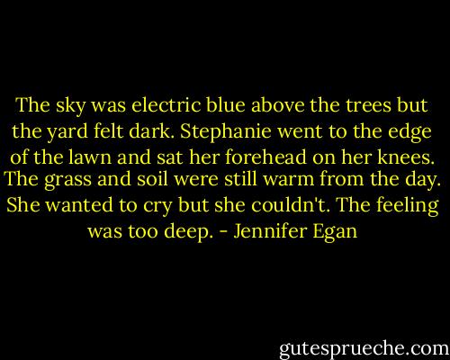The sky was electric blue above the trees but the yard felt dark. Stephanie went to the edge of the lawn and sat her forehead on her knees. The grass and soil were still warm from the day. She wanted to cry but she couldn't. The feeling was too deep. - Jennifer Egan