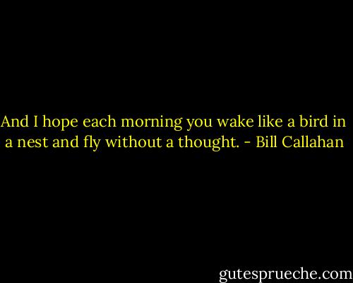 And I hope each morning you wake like a bird in a nest and fly without a thought. - Bill Callahan
