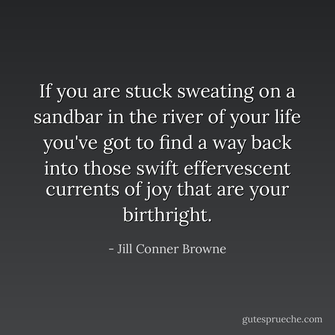If you are stuck sweating on a sandbar in the river of your life you've got to find a way back into those swift effervescent currents of joy that are your birthright. - Jill Conner Browne
