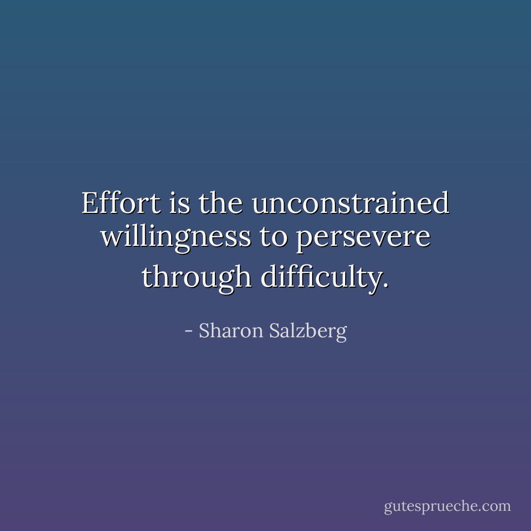 Effort is the unconstrained willingness to persevere through difficulty. - Sharon Salzberg