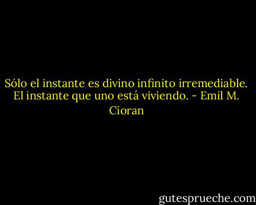 Sólo el instante es divino infinito irremediable. El instante que uno está viviendo. - Emil M. Cioran