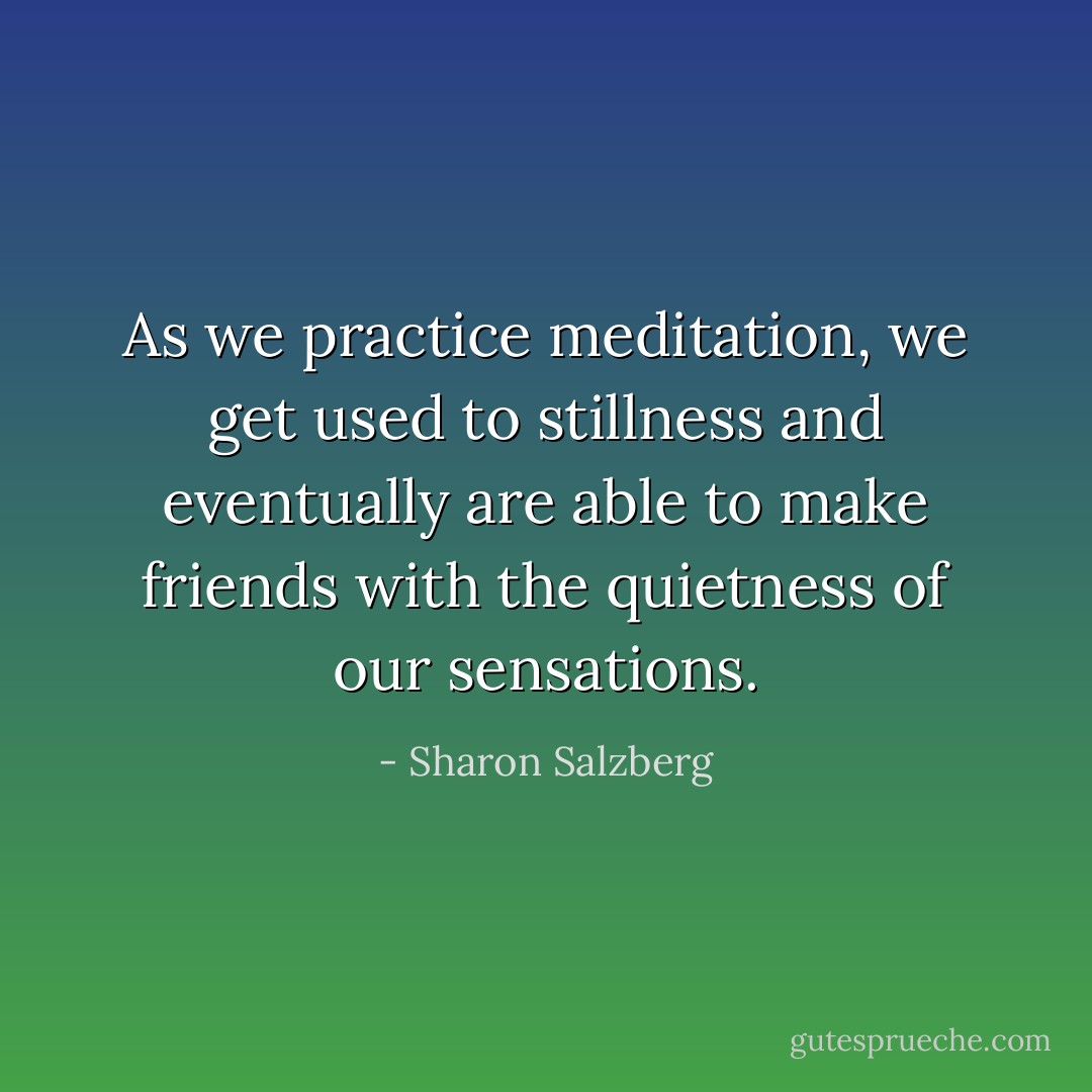 As we practice meditation, we get used to stillness and eventually are able to make<br />friends with the quietness of our sensations. - Sharon Salzberg