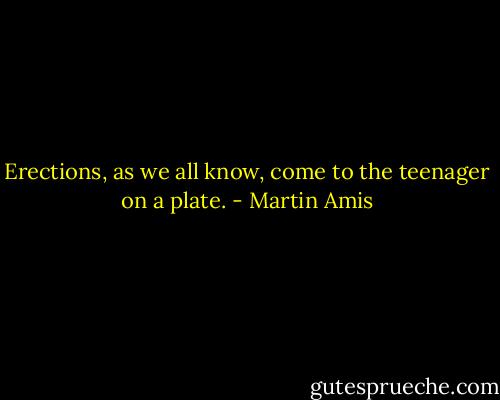 Erections, as we all know, come to the teenager on a plate. - Martin Amis