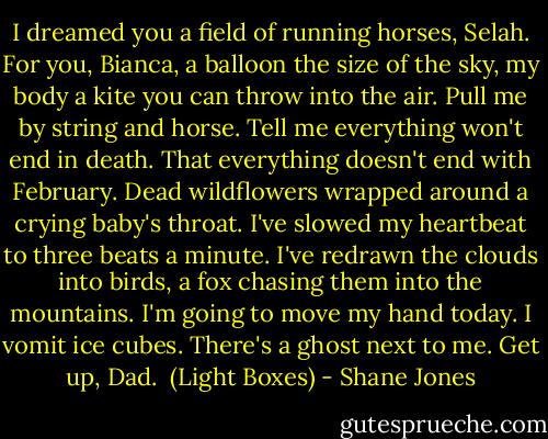 I dreamed you a field of running horses, Selah. For you, Bianca, a balloon the size of the sky, my body a kite you can throw into the air.<br />Pull me by string and horse.<br />Tell me everything won't end in death. That everything doesn't end with February. Dead wildflowers wrapped around a crying baby's throat.<br />I've slowed my heartbeat to three beats a minute. I've redrawn the clouds into birds, a fox chasing them into the mountains.<br />I'm going to move my hand today.<br />I vomit ice cubes.<br />There's a ghost next to me.<br />Get up, Dad.<br /><br />(Light Boxes) - Shane Jones