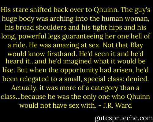 His stare shifted back over to Qhuinn. The guy's huge body was arching into the human woman, his broad shoulders and his tight hips and his long, powerful legs guaranteeing her one hell of a ride. He was amazing at sex.<br />Not that Blay would know firsthand. He'd seen it and he'd heard it...and he'd imagined what it would be like. But when the opportunity had arisen, he'd been relegated to a small, special class: denied. Actually, it was more of a category than a class...because he was the only one who Qhuinn would not have sex with. - J.R. Ward