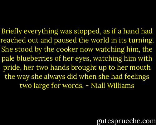 Briefly everything was stopped, as if a hand had reached out and paused the world in its turning.<br />She stood by the cooker now watching him, the pale blueberries of her eyes, watching him with pride, her two hands brought up to her mouth the way she always did when she had feelings two large for words. - Niall Williams