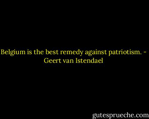 Belgium is the best remedy against patriotism. - Geert van Istendael