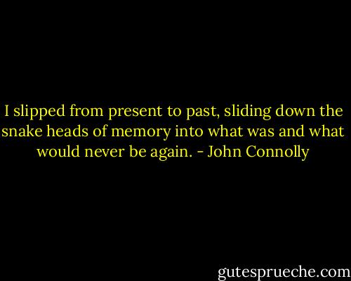 I slipped from present to past, sliding down the snake heads of memory into what was and what would never be again. - John Connolly