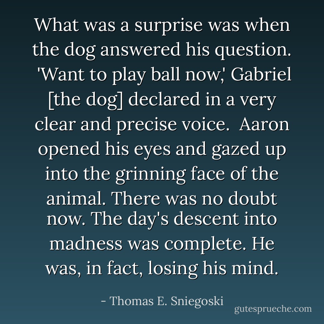 What was a surprise was when the dog answered his question.<br /> <i>'Want to play ball now,'</i> Gabriel [the dog] declared in a very clear and precise voice.<br /> Aaron opened his eyes and gazed up into the grinning face of the animal. There was no doubt now. The day's descent into madness was complete. He was, in fact, losing his mind. - Thomas E. Sniegoski