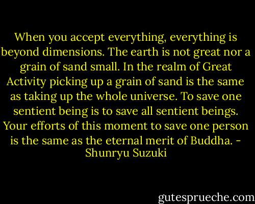 When you accept everything, everything is beyond dimensions. The earth is not great nor a grain of sand small. In the realm of Great Activity picking up a grain of sand is the same as taking up the whole universe. To save one sentient being is to save all sentient beings. Your efforts of this moment to save one person is the same as the eternal merit of Buddha. - Shunryu Suzuki