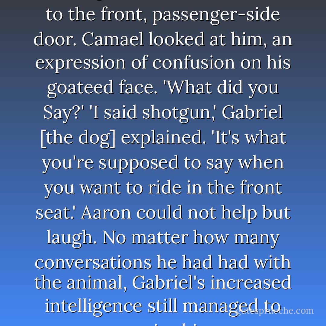 <i>'Shotgun!'</i> he bellowed, startling them as he scrambled to the front, passenger-side door.<br />Camael looked at him, an expression of confusion on his goateed face. 'What did you Say?'<br /><i>'I said shotgun,'</i> Gabriel [the dog] explained. <i>'It's what you're supposed to say when you want to ride in the front seat.'</i><br />Aaron could not help but laugh. No matter how many conversations he had had with the animal, Gabriel's increased intelligence still managed to surprise him. - Thomas E. Sniegoski