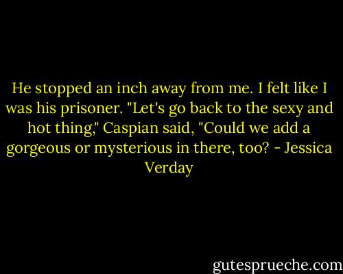 He stopped an inch away from me. I felt like I was his prisoner.<br />"Let's go back to the sexy and hot thing," Caspian said, "Could we add a gorgeous or mysterious in there, too? - Jessica Verday