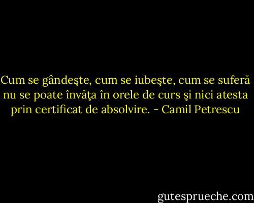Cum se gândeşte, cum se iubeşte, cum se suferă nu se poate învăţa în orele de curs şi nici atesta prin certificat de absolvire. - Camil Petrescu