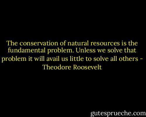 The conservation of natural resources is the fundamental problem. Unless we solve that problem it will avail us little to solve all others - Theodore Roosevelt