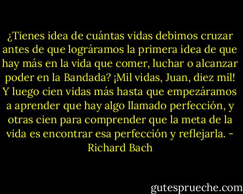 ¿Tienes idea de cuántas vidas debimos cruzar antes de que lográramos la primera idea de que hay más en la vida que comer, luchar o alcanzar poder en la Bandada? ¡Mil vidas, Juan, diez mil! Y luego cien vidas más hasta que empezáramos a aprender que hay algo llamado perfección, y otras cien para comprender que la meta de la vida es encontrar esa perfección y reflejarla. - Richard Bach
