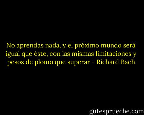 No aprendas nada, y el próximo mundo será igual que éste, con las mismas limitaciones y pesos de plomo que superar - Richard Bach