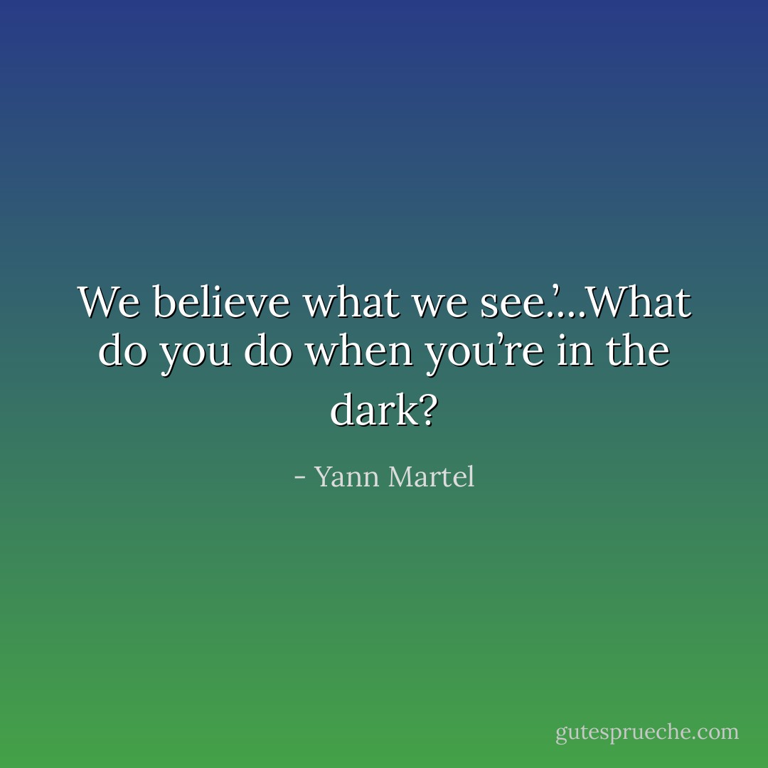 We believe what we see.’...What do you do when you’re in the dark? - Yann Martel