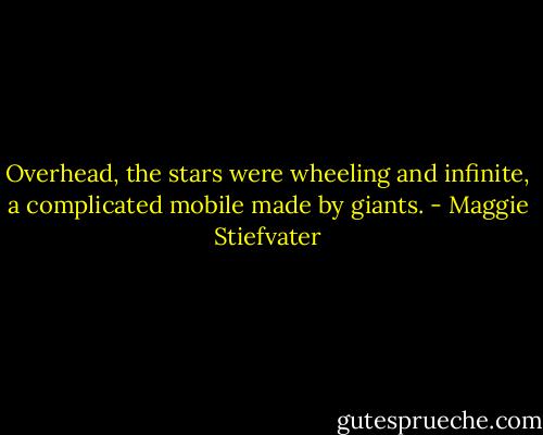 Overhead, the stars were wheeling and infinite, a complicated mobile made by giants. - Maggie Stiefvater